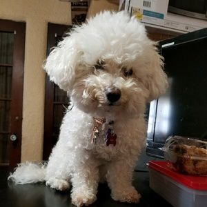 Meet your Posher, Johanna